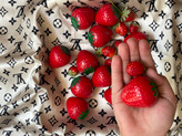 بالم لب توت فرنگی🍓