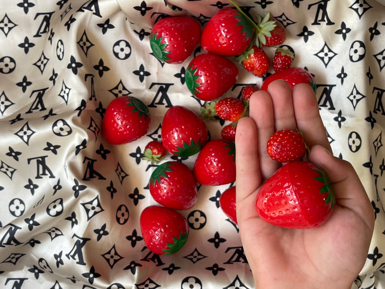 بالم لب توت فرنگی🍓